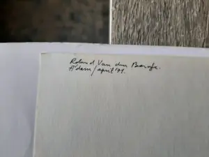 Roland van den Berghe - Stropdas kopen? Bied vanaf 20!