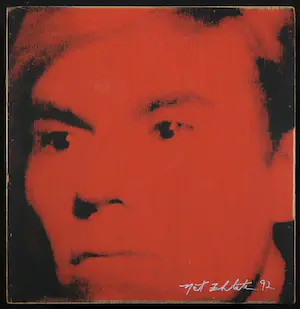 Nat Finkelstein - Andy Warhol - A catalogue as multiple (box) + een papieren About Andy tas kopen? Bied vanaf 1!