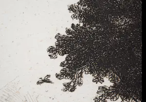 Niet of onleesbaar gesigneerd - Roeloffzen, Hubner & Van Santen, Amsterdam (1904) facsimile Rembrandt van Rijn kopen? Bied vanaf 10!