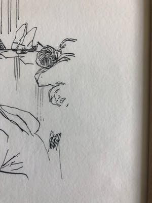 Peter van Straaten - Zou u willen afronden kopen? Bied vanaf 25!