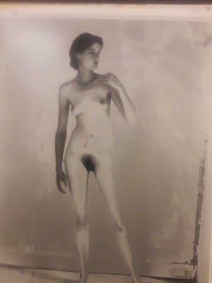 Risk Hazekamp - Zonder titel kopen? Bied vanaf 1!