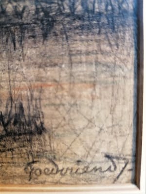 Theo Goedvriend - Knotwilgen in het landschap kopen? Bied vanaf 75!