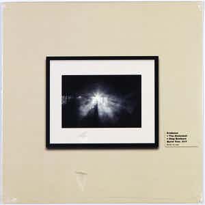 Step Brothers - Burnt Tree (limited edition 434/500) verkocht voor € 35!