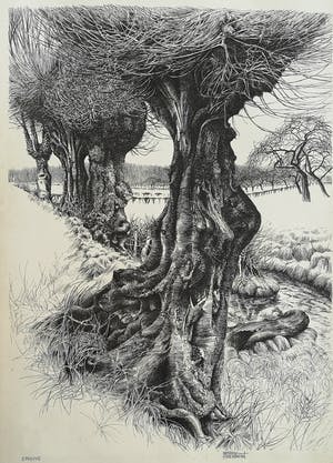 Patrick Creyghton - Landschap met bomen kopen? Bied vanaf 65!