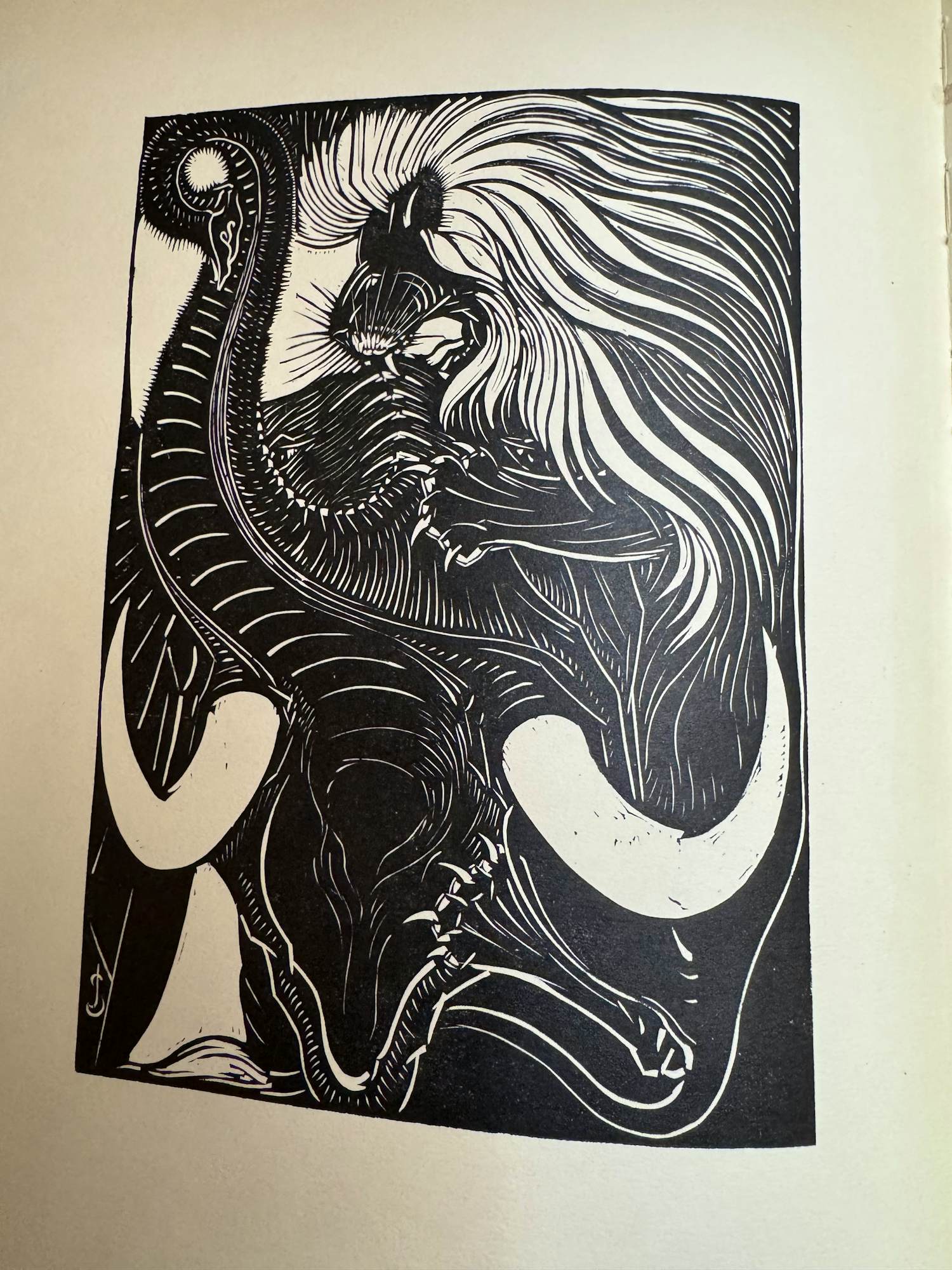 Jan Schonk - Dierenrijk kopen? Bied vanaf 120!