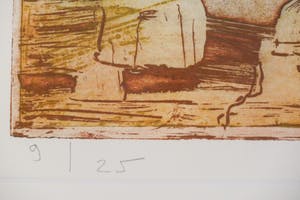 Jan Montyn - 'Los mundos Brasil' (9/25) kopen? Bied vanaf 125!