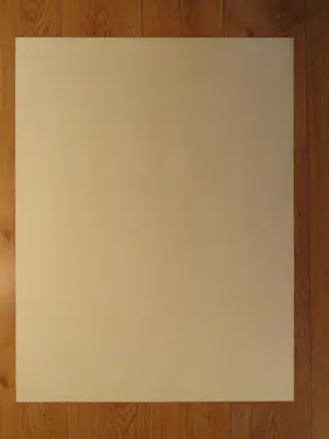 Jan van Diemen - IJshockey kopen? Bied vanaf 30!