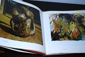 Willem Sandberg - 2 boeken: de collectie & vormgever van het Stedelijk kopen? Bied vanaf 40!