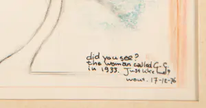 Wout Muller - Did you see? kopen? Bied vanaf 50!