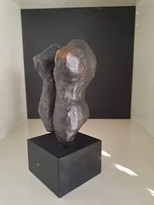 Susanne den Hoed - Torso man en vrouw kopen? Bied vanaf 120!