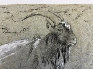 Anton Mauve (sr.) - Rustende geit kopen? Bied vanaf 110!