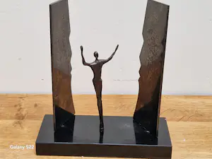 Corry Ammerlaan - De Overwinning kopen? Bied vanaf 45!