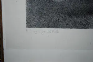 Reinier Craeyvanger - Familiescene met violist kopen? Bied vanaf 50!