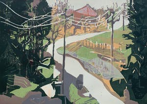 Vincent van Ojen - kleurenhoutsnede - 'Zwarte woud' - 1996 (Zeer kleine oplage) kopen? Bied vanaf 120!