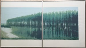 Martin T.J.M van de Laar - landschappelijk tweeluik | zeefdruk - ingelijst kopen? Bied vanaf 39!