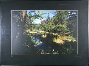 Paul Huf - Foto, Uitzicht op watertje - Ingelijst verkocht voor € 1!