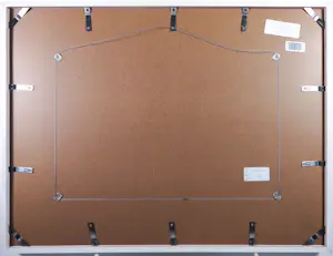 Jose Calsina - Pen/ Aquarel op papier, Knotwilgen - Ingelijst kopen? Bied vanaf 80!