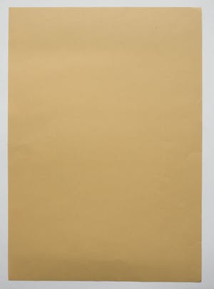 Siep van den Berg - gezicht kopen? Bied vanaf 195!