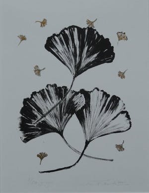 Maaike Feih - Gingko kopen? Bied vanaf 1!