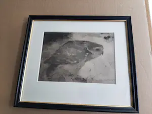 Jan Mankes - Heliogravure " Roofvogeltje op tak " kaufen? Bieten Sie von 120!