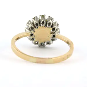 18k bicolor gouden entourage ring met mabe parel en diamant 0.20 ct - rm 18.25 kopen? Bied vanaf 280!