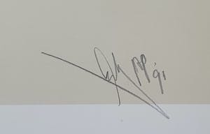 Arty Grimm - Zeefdruk (1991) kopen? Bied vanaf 45!