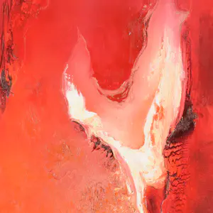 Lucienne van Eeden - Dialoog kopen? Bied vanaf 35!