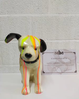 Hannes D'Haese - Hondje kopen? Bied vanaf 125!