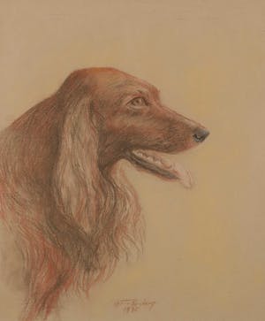 Martin Reisberg - Krijt op board, Portret van een hond - Ingelijst kopen? Bied vanaf 1!