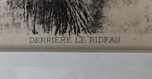 Felicien Rops - Derriere le Rideau. Dame. Portret. Naakt. 1908. Ingelijst. kopen? Bied vanaf 89!