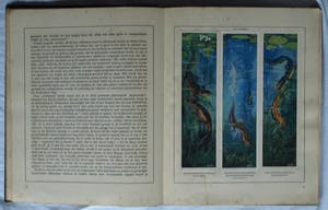 Curiosa - 7 Plaatjesalbums , Verkade (5x), Douwe Egberts (1x), Haust (1x) – (1925-1950) kopen? Bied vanaf 1!