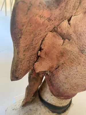 Walter de Rycke - beeldhouwwerk hoofd kopen? Bied vanaf 200!