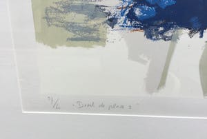 Robbert Fortgens - Droit de Place kopen? Bied vanaf 20!