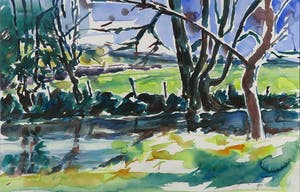 Piet Snoeren - Aquarel, Boslandschap - Ingelijst kopen? Bied vanaf 1!