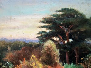 Niet of onleesbaar gesigneerd - Fraai "Avond" Pastel - 1930- "Aerdenhoutse duinen bij Bentveld" gesigneerd kopen? Bied vanaf 1!