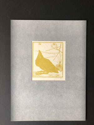 Jan Mankes - Houtsnede kleine kraai kijkend naar mugje - Gesigneerd - 1918 kopen? Bied vanaf 395!