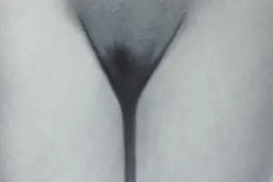 Dominic Rouse - 'Chimera Obscura' (1997) kopen? Bied vanaf 85!