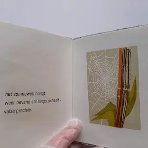 Hans van Draanen - Haiku in duplo kopen? Bied vanaf 60!