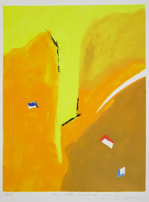 Gerard Bijnens - Zeefdruk, Tekens in tijdloze kleurvelden kopen? Bied vanaf 1!