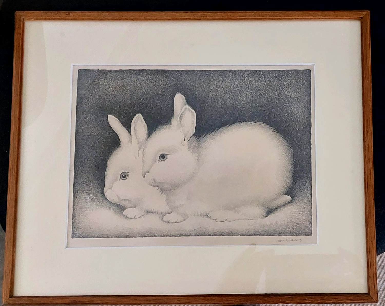 Jan Wittenberg - twee witten konijntjes verkocht voor € 100!