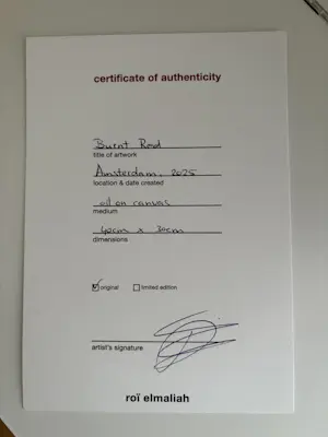 Roï elmaliah - Burned red kopen? Bied vanaf 300!