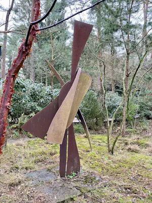 Theo Niermeijer - Vogel kopen? Bied vanaf 2000!