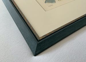 Corneille - Mémoire de Bali kopen? Bied vanaf 245!