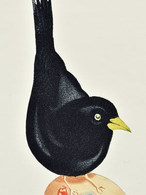 Niet of onleesbaar gesigneerd - Den Magpie , Den Merel & Den Fiskmås kopen? Bied vanaf 1!