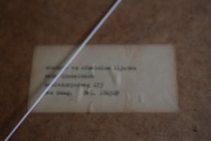 Bruno Bruni - Ets - La Rosa kopen? Bied vanaf 175!