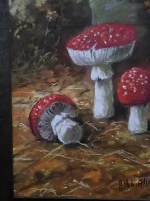 Henriette Hubregtse-Lanzing - Paddestoelen. Vliegenzwammen. kopen? Bied vanaf 89!