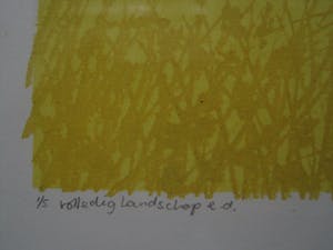 Niet of onleesbaar gesigneerd - gesigneerde UNICA ( 5 exemplaren) Ets "Volledig Landschap e.d." kopen? Bied vanaf 1!