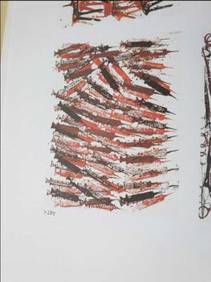 Arman - Hypored - Litho van spuiten - Gesigneerd - 36/250 - Mooi ingelijst kopen? Bied vanaf 250!