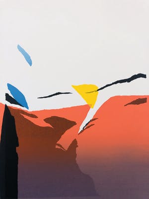 Gerard 't Hart - Lot van twee zeedfrukken kopen? Bied vanaf 60!