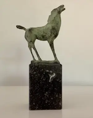 Saskia Pfaeltzer - Jong paard kopen? Bied vanaf 425!